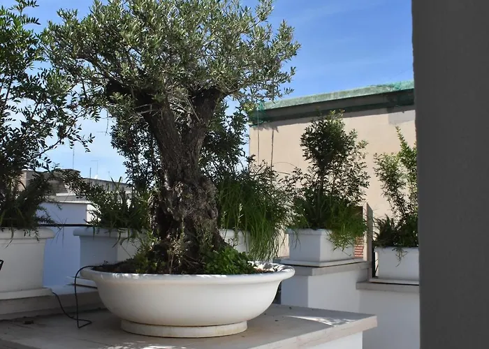 Saint Barth - Charming In Vendégház 3*